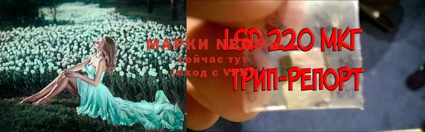 экстази Алзамай
