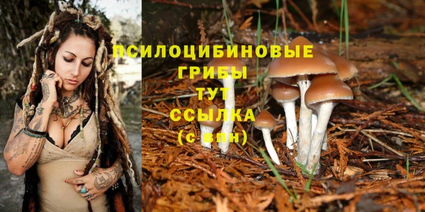 кокаин Алексеевка
