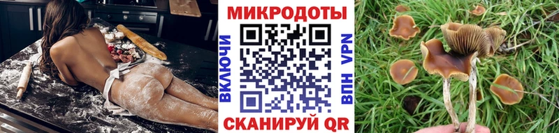 Галлюциногенные грибы мицелий  даркнет сайт  Салават 
