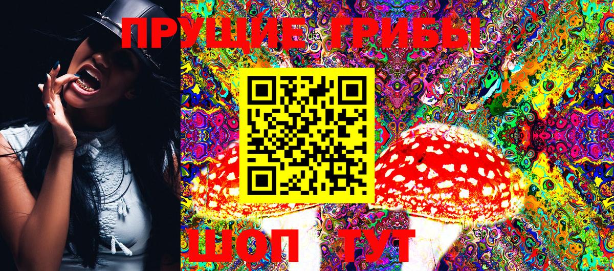 Псилоцибиновые грибы Psilocybe  Вход с VPN  Салават 
